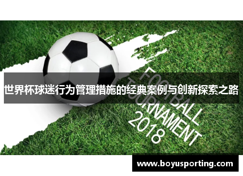 世界杯球迷行为管理措施的经典案例与创新探索之路