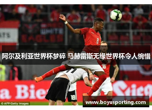 阿尔及利亚世界杯梦碎 马赫雷斯无缘世界杯令人惋惜