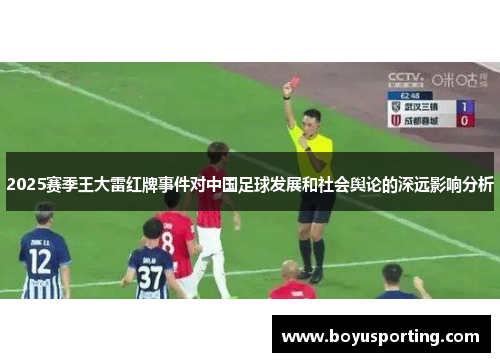 2025赛季王大雷红牌事件对中国足球发展和社会舆论的深远影响分析